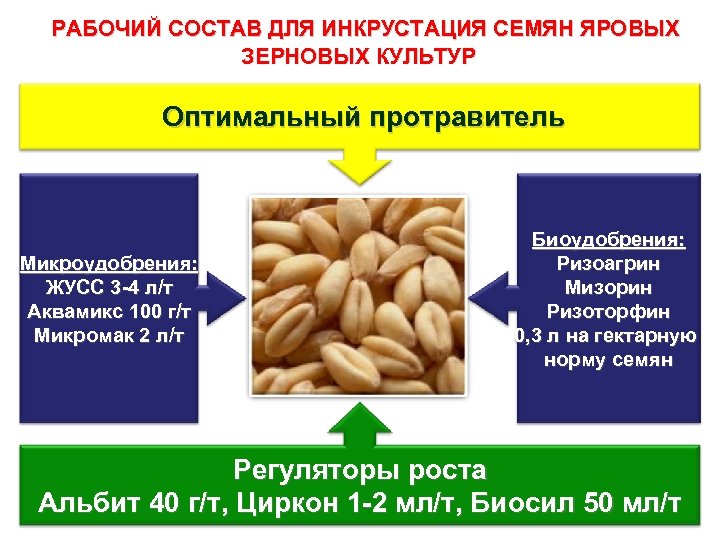  РАБОЧИЙ СОСТАВ ДЛЯ ИНКРУСТАЦИЯ СЕМЯН ЯРОВЫХ ЗЕРНОВЫХ КУЛЬТУР Оптимальный протравитель Микроудобрения: ЖУСС 3