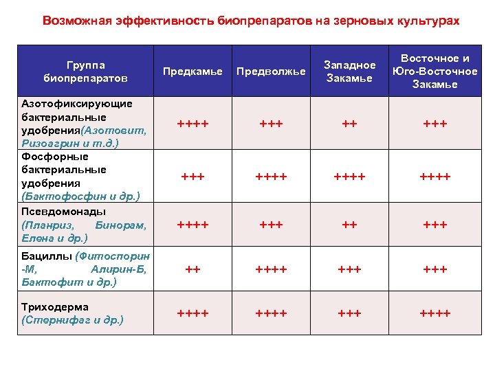 Возможная эффективность биопрепаратов на зерновых культурах Группа биопрепаратов Азотофиксирующие бактериальные удобрения Азотовит, ( Ризоагрин