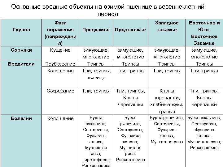 Основные вредные объекты на озимой пшенице в весенне-летний период Группа Сорняки Фаза поражения (повреждени