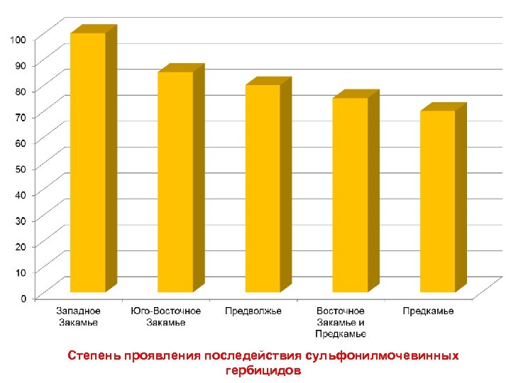 Закамье Предкамье. Закамье Предкамье Предволжье.