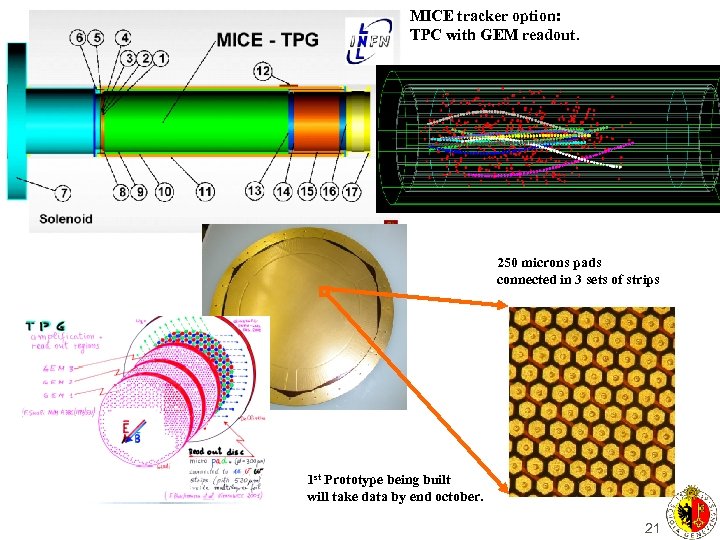 MICE tracker option: TPC with GEM readout. 250 microns pads connected in 3 sets