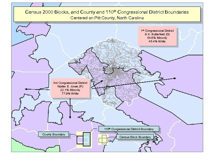 Census 2000 Blocks, and County and 110 th Congressional District Boundaries Centered on Pitt