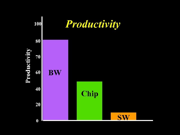 Productivity 100 Productivity 80 70 60 40 BW Chip 20 0 SW 