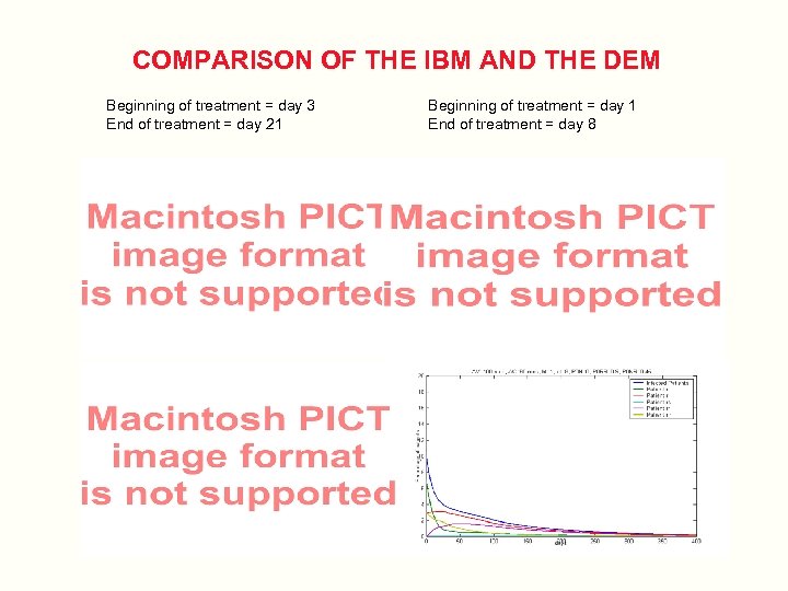 COMPARISON OF THE IBM AND THE DEM Beginning of treatment = day 3 End