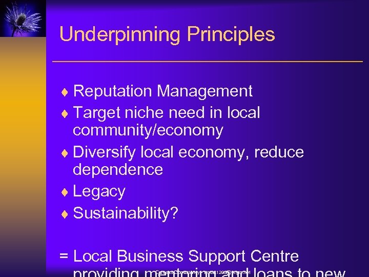 Underpinning Principles ¨ Reputation Management ¨ Target niche need in local community/economy ¨ Diversify
