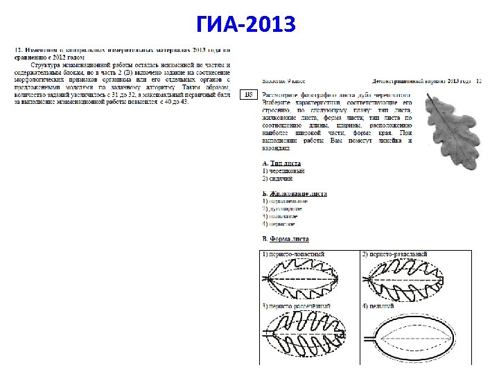 ГИА-2013 