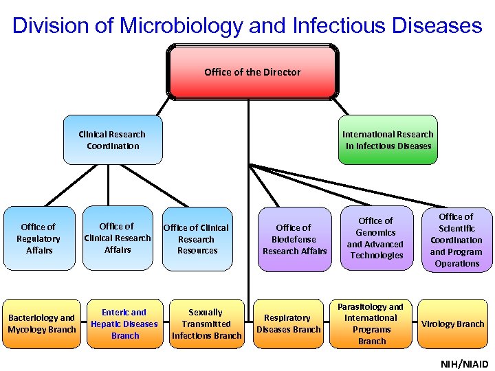 Division of Microbiology and Infectious Diseases Office of the Director Clinical Research Coordination Office