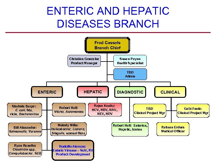 ENTERIC AND HEPATIC DISEASES BRANCH Fred Cassels Branch Chief Christian Gonzalez Product Manager Susan