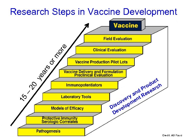 15 – 20 ye ar so rm or e Research Steps in Vaccine Development