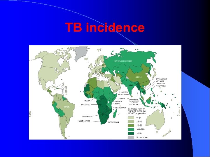 TB incidence 