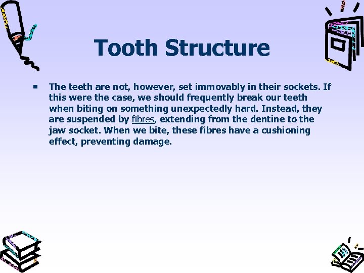 Tooth Structure The teeth are not, however, set immovably in their sockets. If this