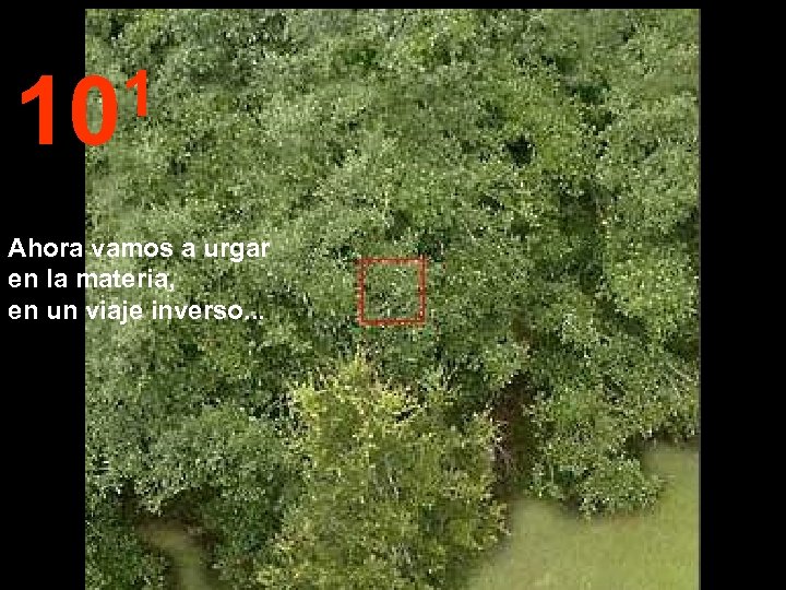1 10 Ahora vamos a urgar en la materia, en un viaje inverso. .