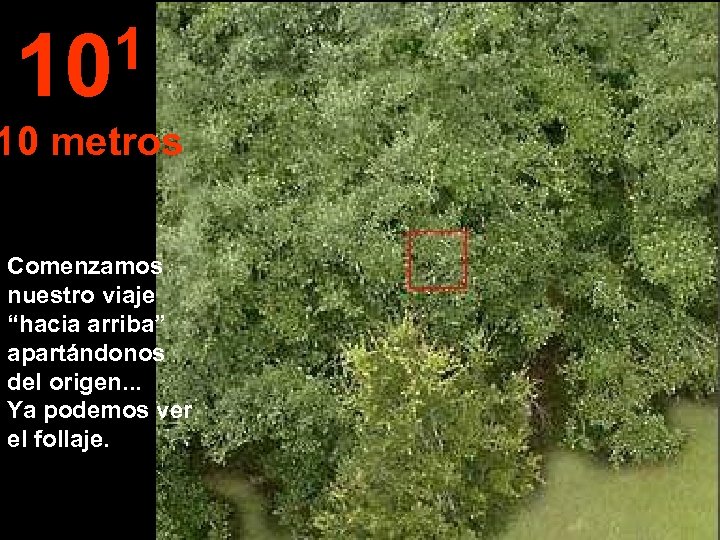 1 10 10 metros Comenzamos nuestro viaje “hacia arriba” apartándonos del origen. . .