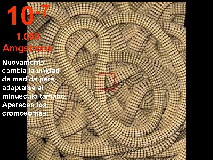 -7 10 1. 000 Amgstrons Nuevamente cambia la unidad de medida para adaptarse al