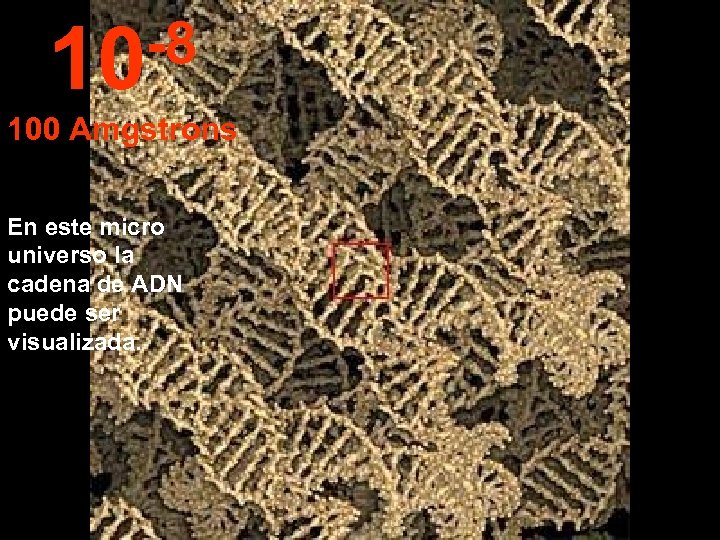 -8 10 100 Amgstrons En este micro universo la cadena de ADN puede ser