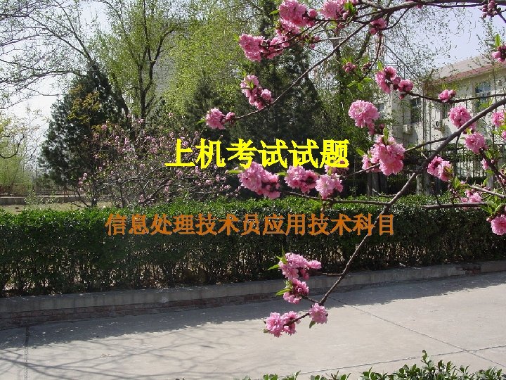 上机考试试题 信息处理技术员应用技术科目 