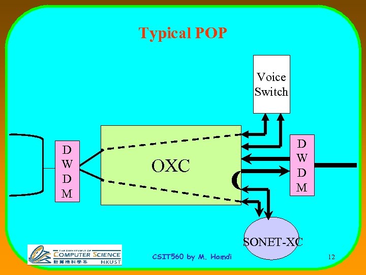 Typical POP Voice Switch D W D M OXC D W D M SONET-XC