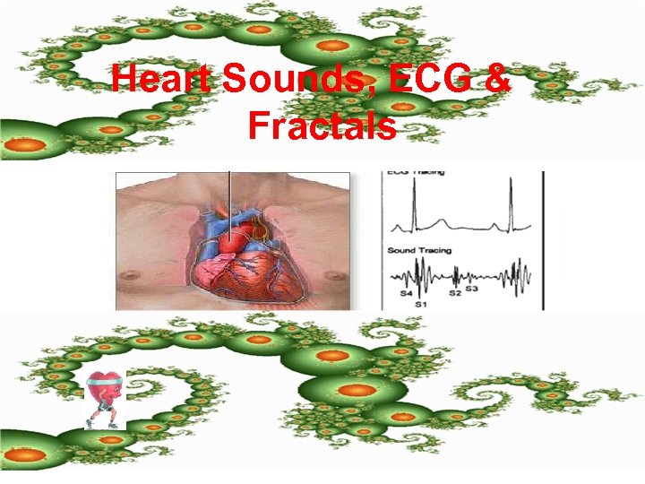 Heart Sounds, ECG & Fractals 