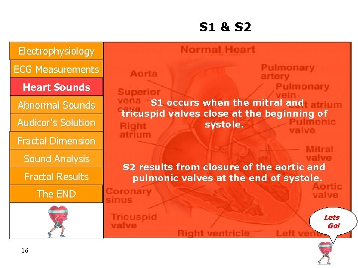 S 1 & S 2 Electrophysiology ECG Measurements Heart Sounds Abnormal Sounds Audicor’s Solution