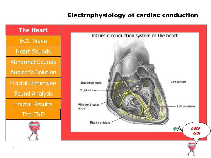 Electrophysiology of cardiac conduction The Heart ECG Wave Heart Sounds Abnormal Sounds Audicor’s Solution