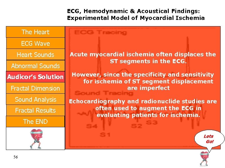 ECG, Hemodynamic & Acoustical Findings: Experimental Model of Myocardial Ischemia The Heart ECG Wave