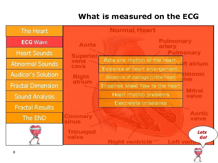 What is measured on the ECG The Heart ECG Wave Heart Sounds Abnormal Sounds