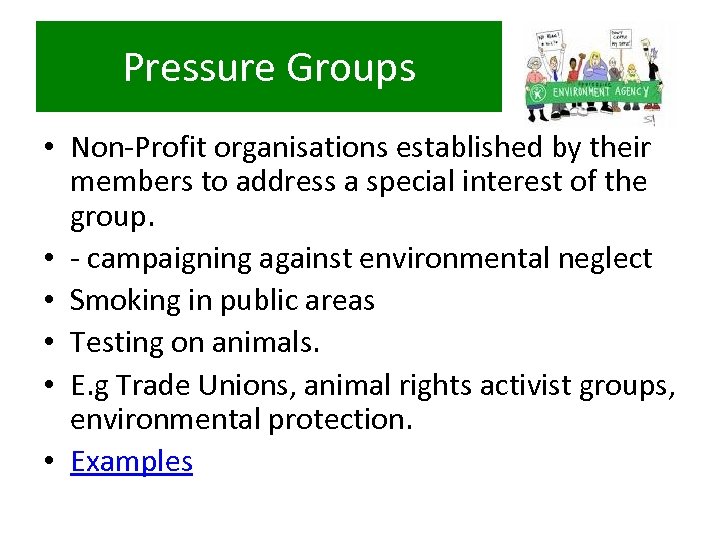 Pressure Groups • Non-Profit organisations established by their members to address a special interest