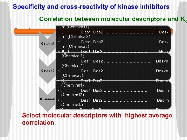 Specificity and cross-reactivity of kinase inhibitors Correlation between molecular descriptors and Kd • K