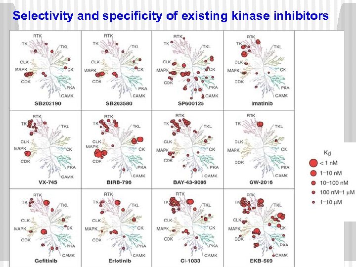 Selectivity and specificity of existing kinase inhibitors 