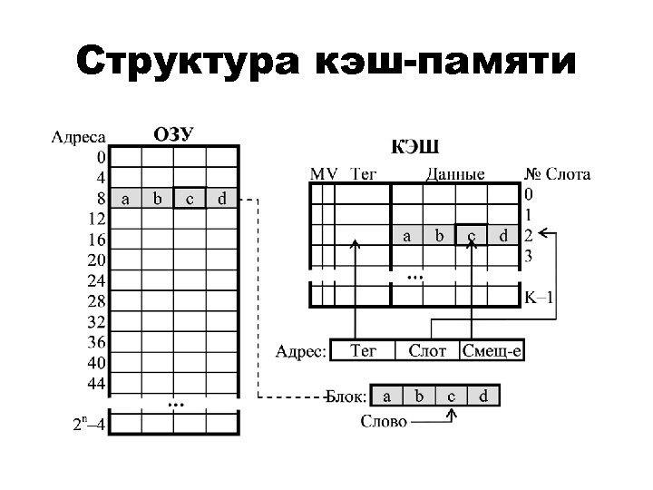 Структура кэш-памяти 