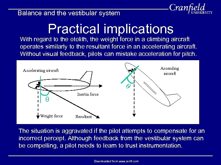 Balance and the vestibular system Practical implications With regard to the otolith, the weight