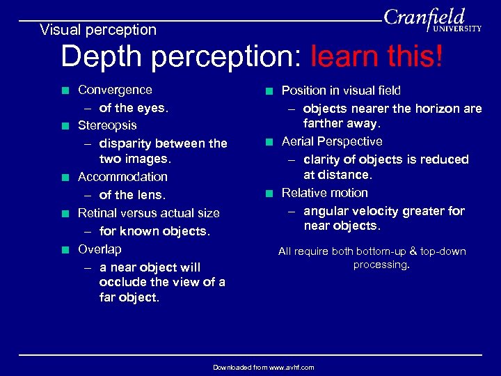 Visual perception Depth perception: learn this! < Convergence – of the eyes. < Stereopsis