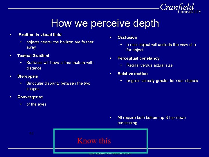 How we perceive depth • Position in visual field • • Textual Gradient •