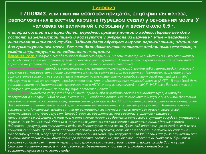 . Гипофиз ГИПОФИЗ, или нижний мозговой придаток, эндокринная железа, расположенная в костном кармане (турецком