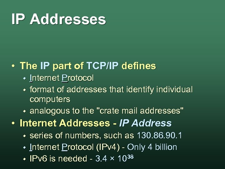 IP Addresses • The IP part of TCP/IP defines w w w Internet Protocol