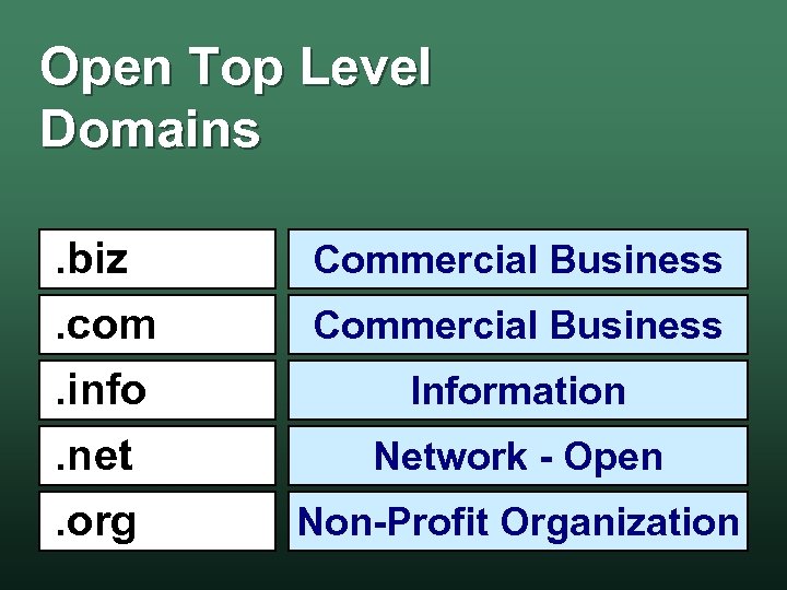 Open Top Level Domains. biz. com. info. net. org Commercial Business Information Network -