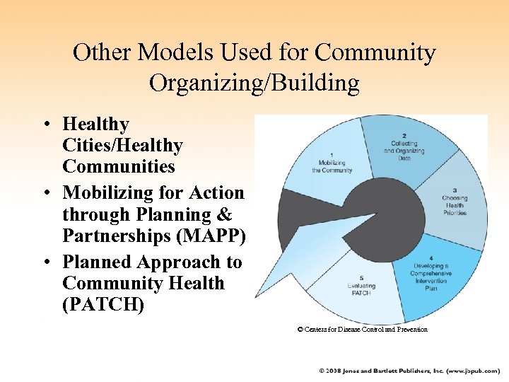 Other Models Used for Community Organizing/Building • Healthy Cities/Healthy Communities • Mobilizing for Action
