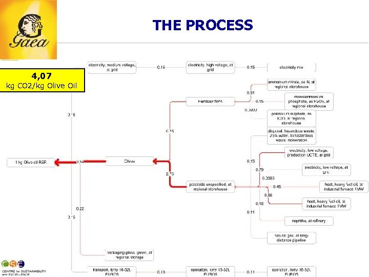 THE PROCESS 4, 07 kg CO 2/kg Olive Oil 