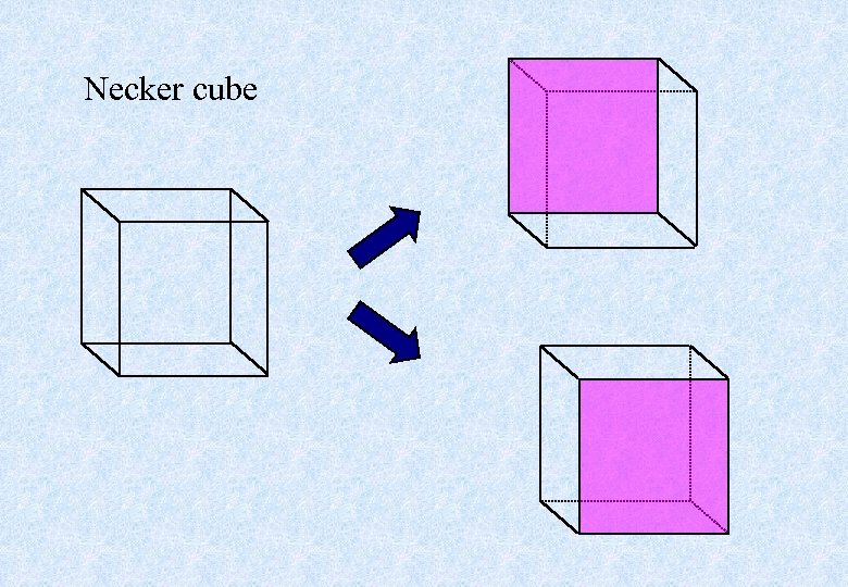 Necker cube 