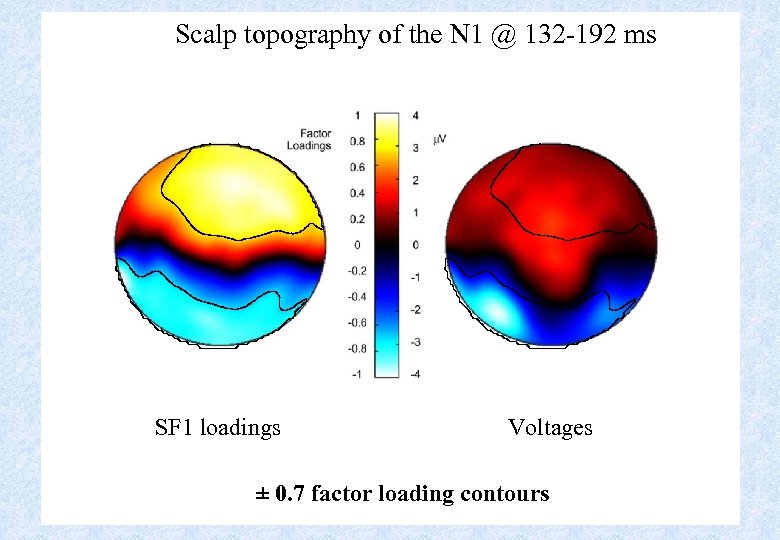 Scalp topography of the N 1 @ 132 -192 ms SF 1 loadings Voltages