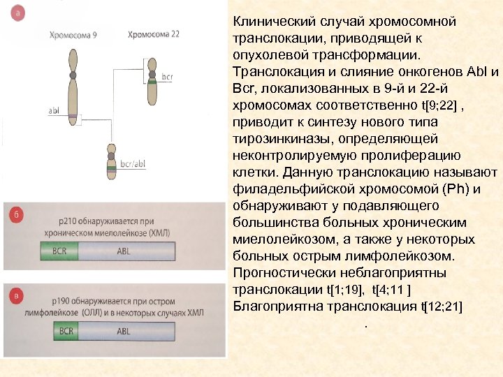 Проверка хмл схемы