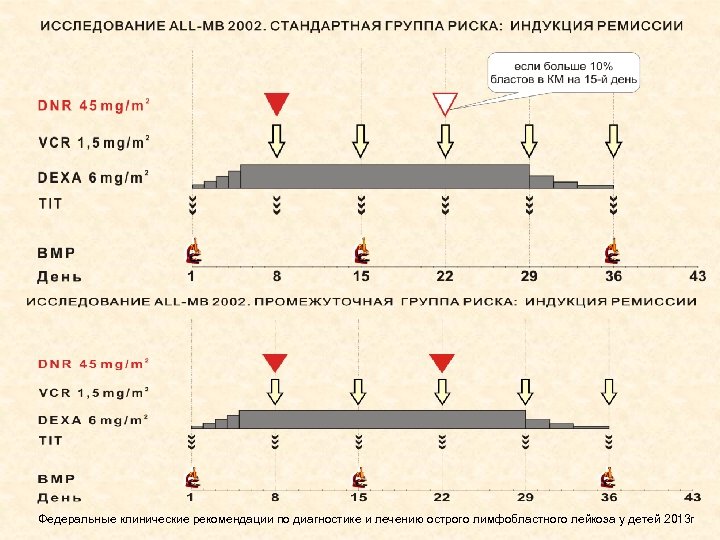 Протокол лечения лейкоза. Протокол лечения острого лимфобластного лейкоза 2015. Лечение острого лимфобластного лейкоза у детей протокол. Протокол лечения острого лимфобластного лейкоза. Протокол BFM лейкоз у детей.