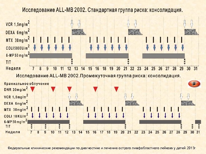 Протоколы лечения лейкозов. Протокол лечения острого лимфобластного лейкоза 2015. Поддерживающая терапия при лейкозе у детей протоколы. Протокол all-MB 2015 лечения лейкоза. Лечение острого лимфобластного лейкоза у детей протокол.