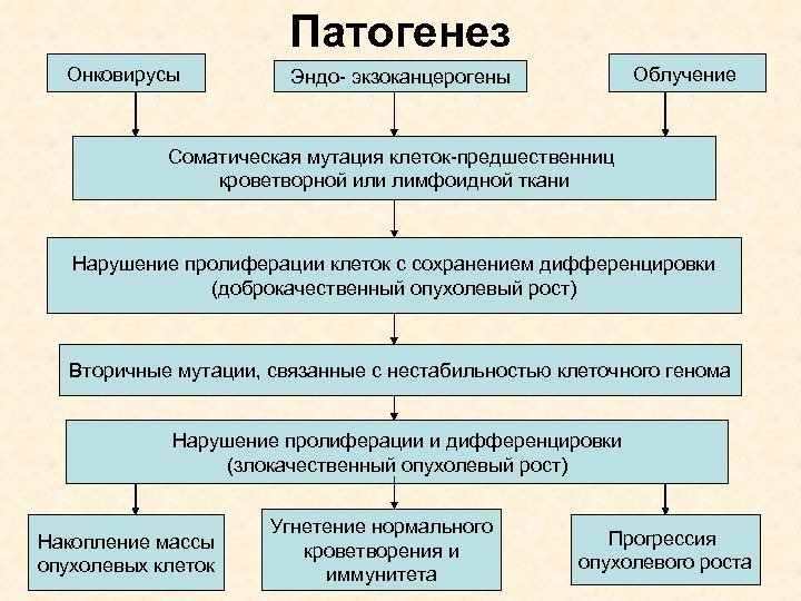 Патогенез лейкозов схема