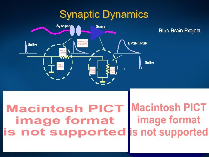 Synaptic Dynamics Synapses Spike Soma Blue Brain Project EPSP, IPSP Spike 