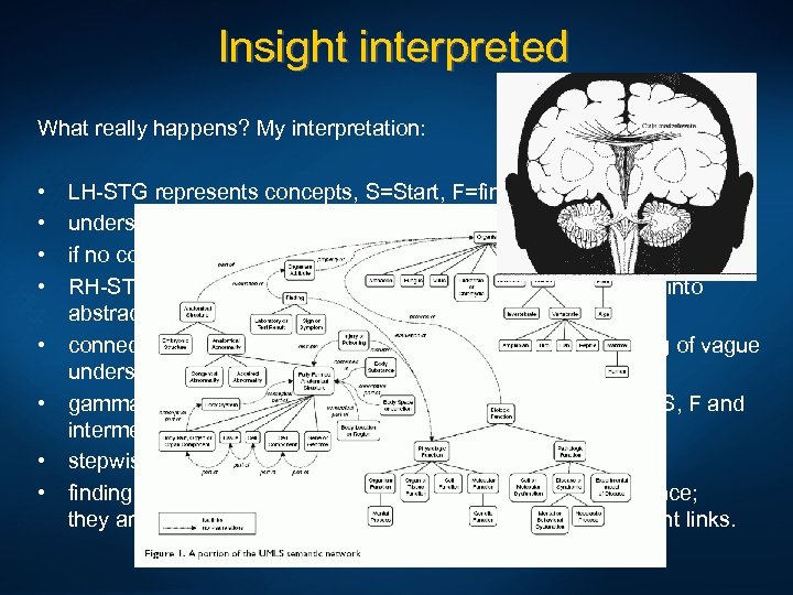 Insight interpreted What really happens? My interpretation: • • LH-STG represents concepts, S=Start, F=final