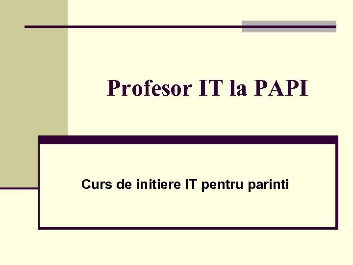 Profesor IT la PAPI Curs de initiere IT pentru parinti 
