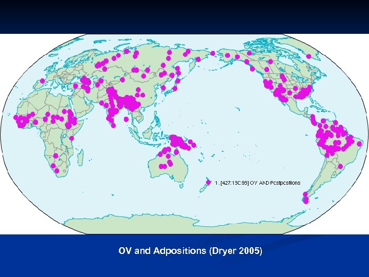 OV and Adpositions (Dryer 2005) 
