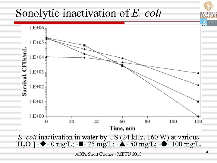 Sonolytic inactivation of E. coli inactivation in water by US (24 k. Hz, 160