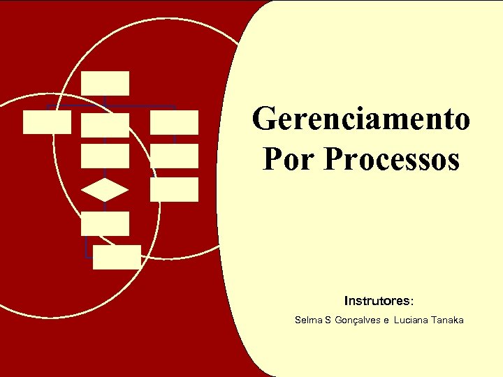 Gerenciamento Por Processos Instrutores: Selma S Gonçalves e Luciana Tanaka 